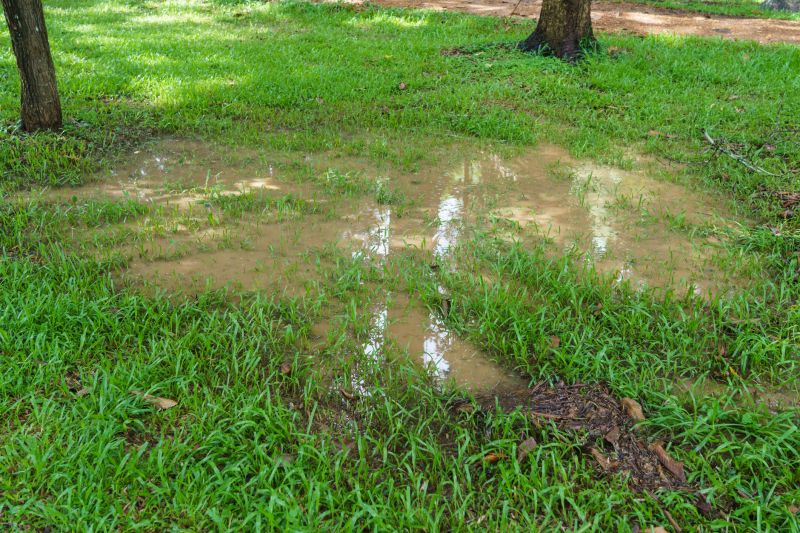 Yard Drainage Improvement in Tuscaloosa, AL